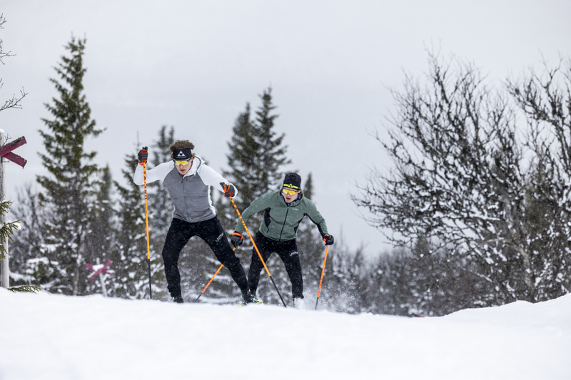 Ski